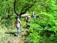 তুফানির চরে বনভোজন